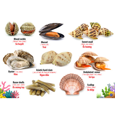 Từ Điển - Thư Viện Hình Ảnh Song Ngữ Đầu Tiên Của Bé - Động Vật Dưới Nước ( bc)