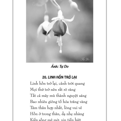 Tập Thơ Linh Hồn Trở Lại - Tự Do