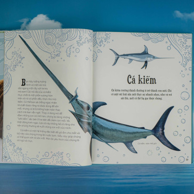 Sách - Bách khoa thư kỳ thú về Vũ trụ - Đinh Tị Books