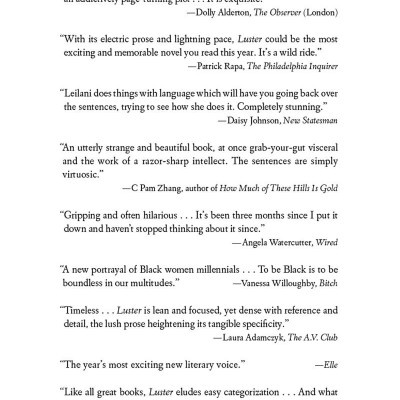 Luster: A Novel
