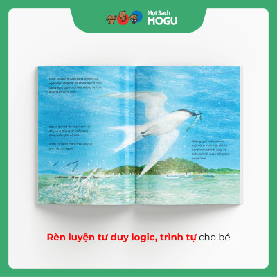 Truyện Ehon bé 3-4-5 tuổi - Câu chuyện của những giọt nước