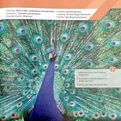 Headway 5th Edition: Pre-Intermediate: Student