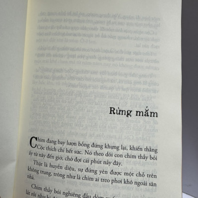 RỪNG MẮM - Bình Nguyên Lộc - Nxb Trẻ
