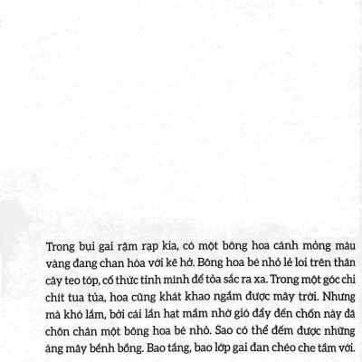 Im Re Giữa Khe Nhìn Đời