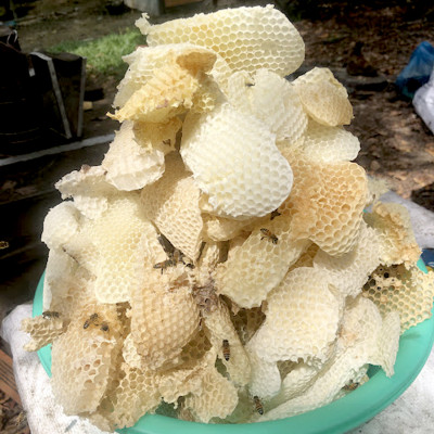 Nến Sáp Ong 59 Giờ Kèm Dĩa Gỗ Dừa 10cm : Khử Mùi Hôi Phòng, Làm Sạch Không Khí, Thơm Nhẹ Mùi Mật Ong - HÀNG CHÍNH HÃNG