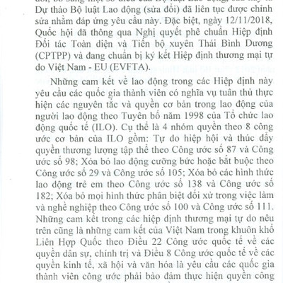 Những Nội Dung Mới Của Bộ Luật Lao Động Năm 2019