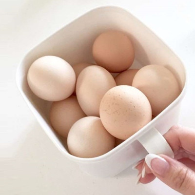 Hộp đựng & bảo quản thực phẩm nắp mềm có tay cầm 800ml - made in Japan