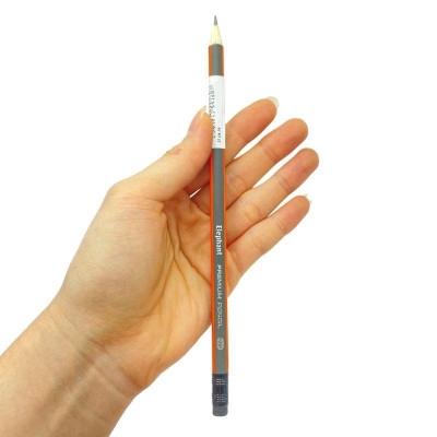 Bút Chì Tam Giác 2B Elephant (Mẫu Màu Giao Ngẫu Nhiên)