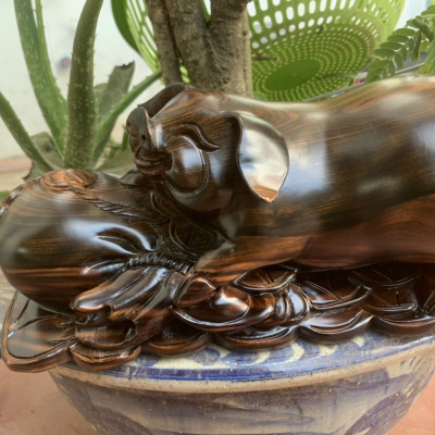 Tượng con heo (lợn) cầu tài lộc bằng gỗ mun hoa kt 30×12,5cm 