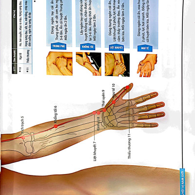 Đồ Giải Kinh Lạc Huyệt Vị - Nam Giới