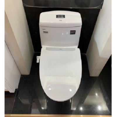 Nắp bồn cầu tự rửa thông minh xịt rửa, vệ sinh phụ nữ INAX CW-S32 (Hàng chính hãng)