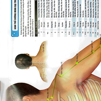 Sách Đồ giải Kinh Lạc Huyệt Vị Nam giới