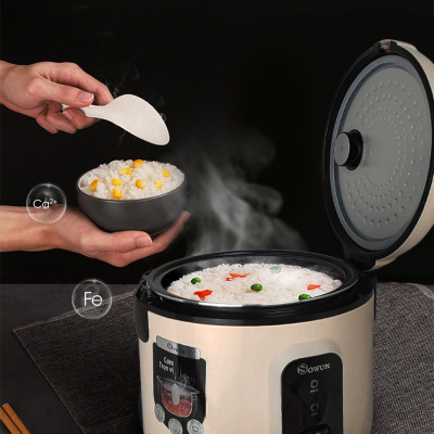 Nồi cơm điện 1.8 Lít Sowun SW 698 - Hàng chính hãng