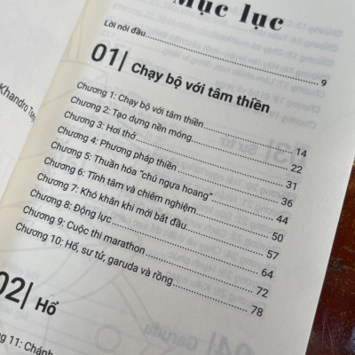 THIỀN TRONG CHUYỂN ĐỘNG - Sakyong Mipham- Lâm Đức Duy dịch – 1980 Books  – Thanh Niên