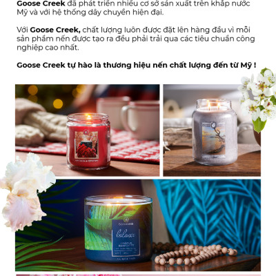 Nến ly 3 bấc Aromatherapy Goose Creek (411g) - Bergamot & Tea Leaves