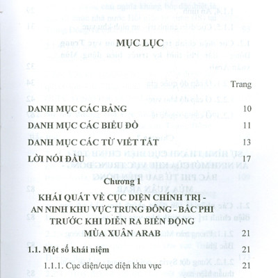 Sự Hình Thành Cục Diện Chính Trị - An Ninh Mới Tại Khu Vực Trung Đông - Bắc Phi Và Tác Động