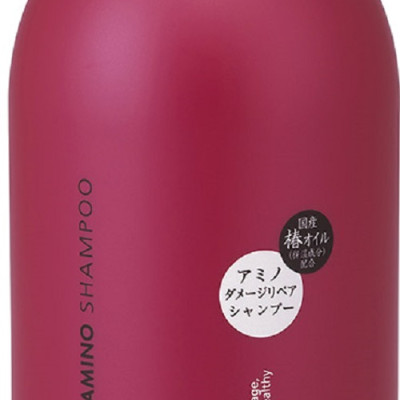 Dầu Gội Đầu Phục Hồi Tóc Hư Tổn Chiết Xuất Hoa Trà Salon Link Amino Shampoo (1000 mL)