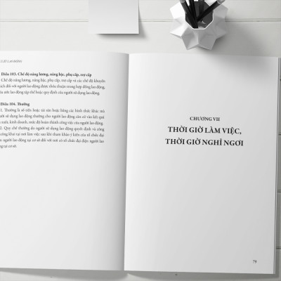Bộ Luật Lao Động - Được Thông Qua Tại Kỳ Hợp Thứ 8 Quốc Hội Khóa XIV (Bộ Luật Số 45/2019/QH 14 Kỳ Họp Thứ 8 Thông Qua Ngày 20/11/2019)