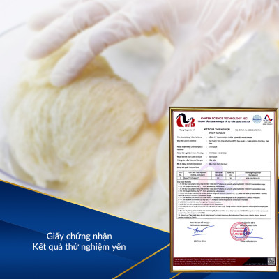 Viên uống yến sào đẹp da, phục hồi tế bào Nest Beauty - Ausmedic