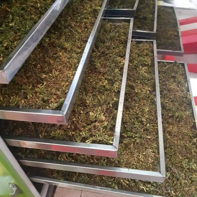 Bông đu đủ đực sấy lạnh xanh đẹp đặc sản Kon Tum