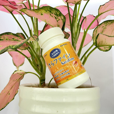 Viên Uống Hỗ Trợ Giảm Mỡ Máu Sarafine Fujina 80 Viên Nhật Bản Chính Hãng, Phòng Ngừa Ngừa Tai Biến