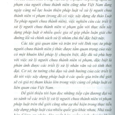 Triết Lý Xử Lý Người Chưa Thành Niên Vi Phạm Và Thực Tiễn Xây Dựng Pháp Luật Trên Thế Giới (Sách chuyên khảo) - TS. Đào Lệ Thu chủ biên