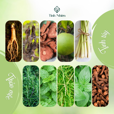 Dầu Gội Thảo Mộc Nhân Sâm Tinh Nhiên chăm sóc tóc chuyên sâu, giảm rụng tóc, giúp tóc mọc dày hiệu quả