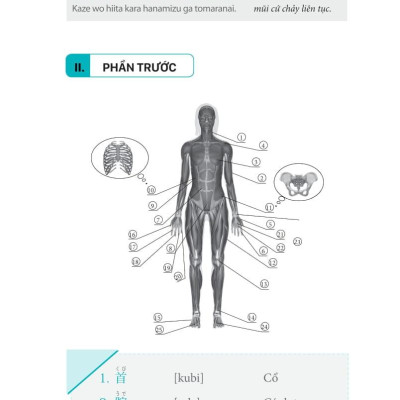 3000 Từ Vựng Tiếng Nhật Theo Chủ Đề