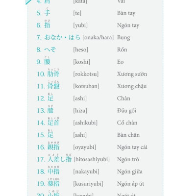 3000 Từ Vựng Tiếng Nhật Theo Chủ Đề