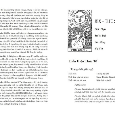 Học Tarot Cho Người Mới