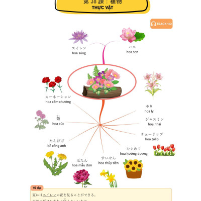 Mindmap Từ Vựng Tiếng Nhật - Học Từ Vựng Tiếng Nhật Qua Sơ Đồ Tư Duy