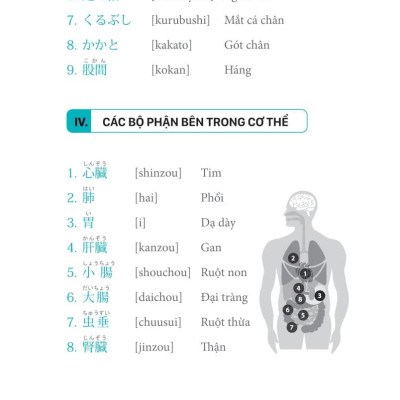3000 Từ Vựng Tiếng Nhật Theo Chủ Đề