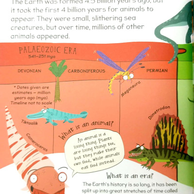 A Curious Library Of Questions And Answers