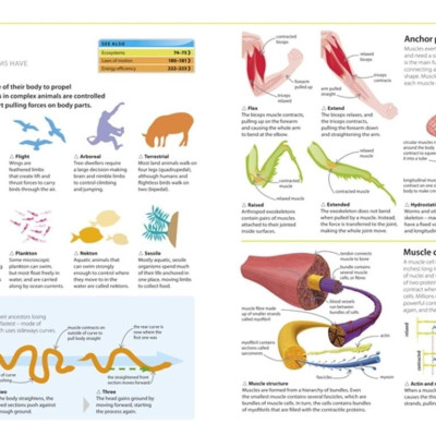 Help Your Kids with Science