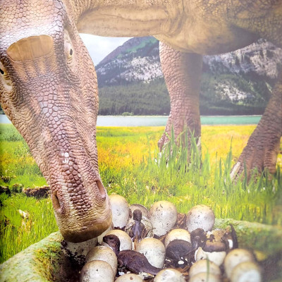 My Best Book Of Dinosaurs