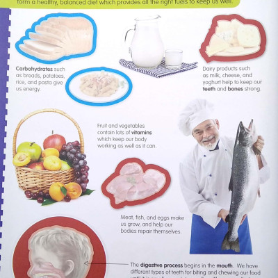 Wonders Of Learning - Sticker Book - Human Body