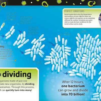 Sách ngoại văn: The Bacteria Book (New Edition)