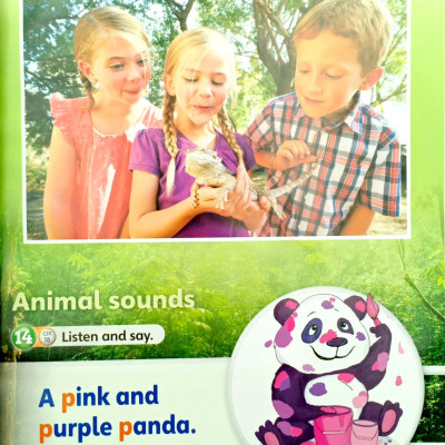 Guess What! Level 1 Pupil