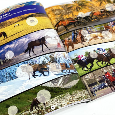 World Of Horses Sticker Book Treasury