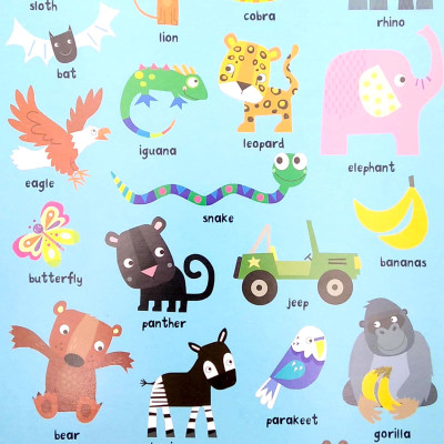 Look & Find: Animals