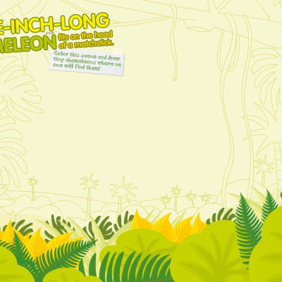 Weird But True! Sticker Doodle Book: Outrageous Facts, Awesome Activities, Plus Cool Stickers For Tons Of Wacky Fun!