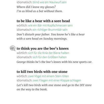 Langenscheidt And pigs might fly: Bildhaft sprechen mit 250 englischen Redewendungen