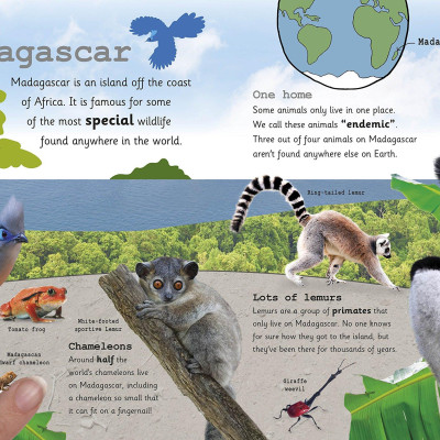 My Encyclopedia of Very Important Animals: For Little Animal Lovers Who Want to Know Everything (My Very Important Encyclopedias)