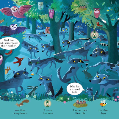 Look And Find Puzzles Night Time