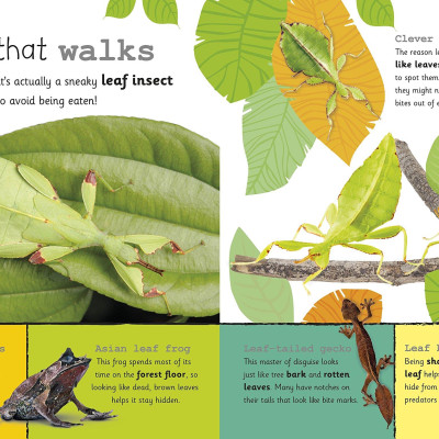 My Encyclopedia of Very Important Animals: For Little Animal Lovers Who Want to Know Everything (My Very Important Encyclopedias)