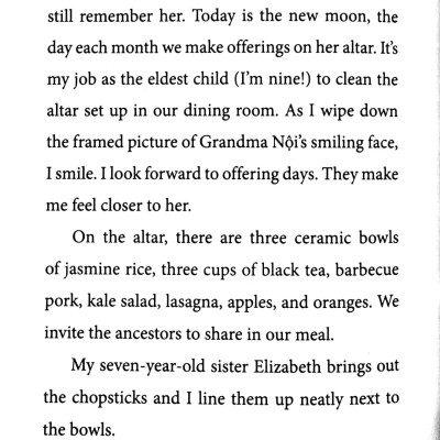 The Nguyen Kids 1: The Secret Of The Jade Bangle