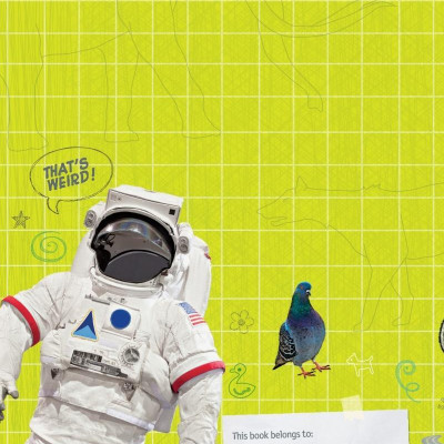 Weird But True! 4: Wild And Wacky Sticker Doodle Book