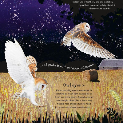 Through The Night Sky: A Collection Of Amazing Adventures Under The Stars