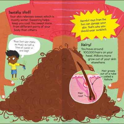 First Body Book-Set off on a Head-to-Toe Adventure through the Human Body-Includes over 20 Anatomical Diagrams and a Colorful Body Systems Wall Poster - Sách về cơ thể đầu tiên