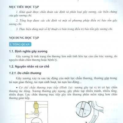 Bệnh Học Ngoại Khoa Chấn Thương Chỉnh Hình (Dùng cho đào tạo sau đại học)